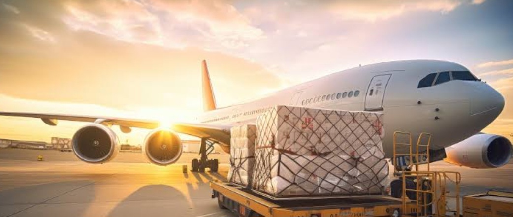 Screenshot_20240220_144857_Google